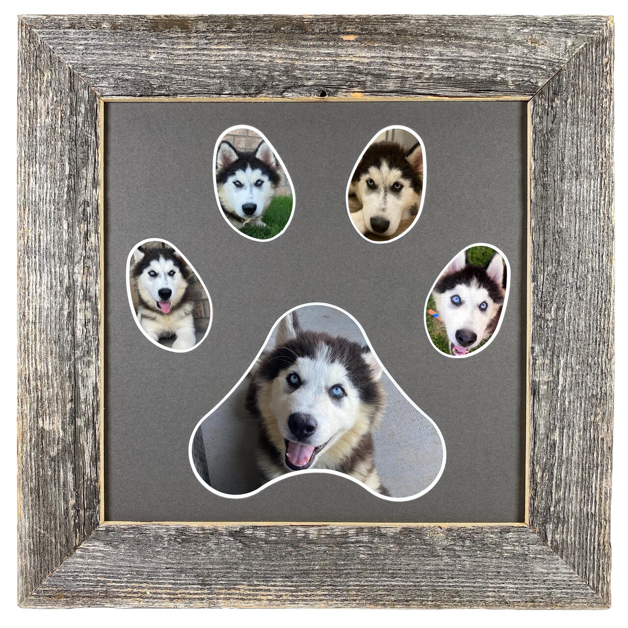 Rustic Farmhouse Paw Collage Series Reclaimed Wood Picture Frame with 5 Openings